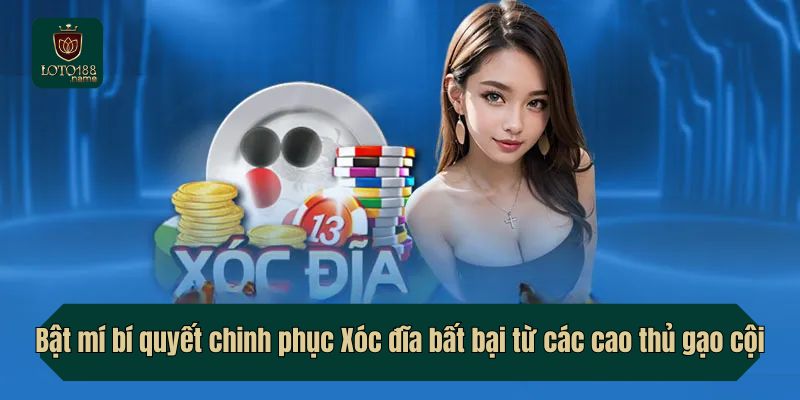 Bật mí bí quyết chinh phục Xóc đĩa bất bại từ các cao thủ gạo cội